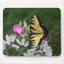 Search for butterfly mousepads Swallowtail