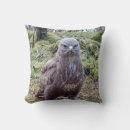 Search for attitudes photography Wildlife