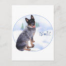 Search for australian cattle dog christmas cards Aussie
