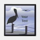 Search for pelicans magnets Ocean