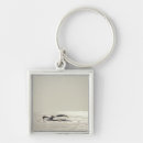 Search for humpback whale keychains Nature