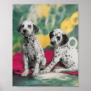 Search for dalmatian puppy posters Dog