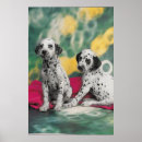 Search for dalmatian puppy posters Photography