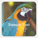 Search for macaw stickers Parrot