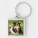 Search for shetland sheepdog keychains Outdoors