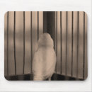Recherche de cage tapis souris Animal