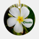 Recherche de hawaiian christmas christmas decor Pour tous