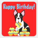 Search for boston terrier stickers Pets
