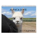 Search for llama calendars Cat