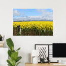Recherche de canola posters Agriculture