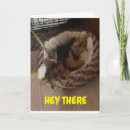 Search for wake cards Cat