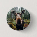 Search for fantastical buttons Whimsical