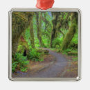 Search for olympic national park ornaments Scenic