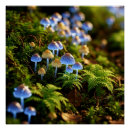 Search for bioluminescence posters Enchanted forest