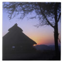 Search for africa tiles Sunset