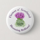Search for thistle buttons Purple
