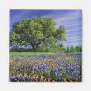 Search for bluebonnet kitchen dining Paintbrush