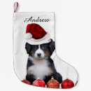 Search for bernese mountain dog christmas decor Xmas