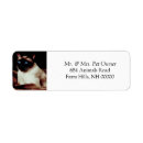 Search for siamese return address labels Kitty