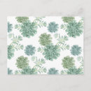 Search for cacti horizontal postcards Tropical