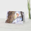Search for woodpecker christmas cards Nature