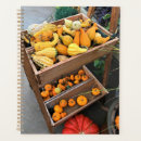 Search for squash office supplies Fall