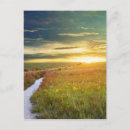 Search for prairie postcards Sunrise