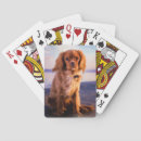 Recherche de caverne jeux de cartes Animal