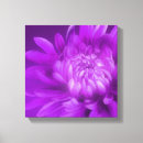 Search for chrysanthemum art Botanical