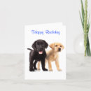 Search for yellow labrador birthday cards Retrievers
