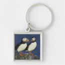 Search for puffin keychains Wildlife