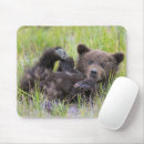 Search for bear paw mousepads Young animal