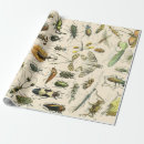 Search for insect wrapping paper Decoupage
