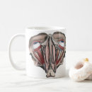 Search for eyeball mugs Eyes