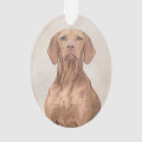 Recherche de hongrois ornements Chiot