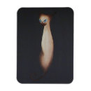 Recherche de siamois magnets Animal