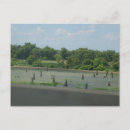 Search for wetlands postcards Travel