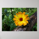 Search for logs art Yellow
