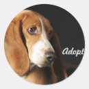 Recherche de bassets autocollants Pour tous