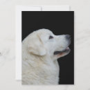 Recherche de moutons correspondances cartes Animal