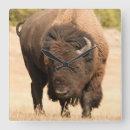 Search for bison art Vertical