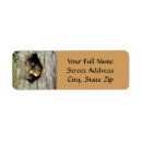 Search for chipmunk return address labels Nature
