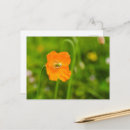 Recherche de orange verte cartes postales Été