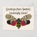 Search for funny bug postcards Insects