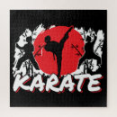 Recherche de karate puzzles Kung fu