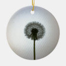 Search for macro ornaments Light