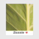 Search for leaf texture stickers Garden