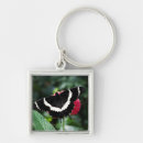 Recherche de papillons noirs porteclés Rose