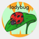 Recherche de petite coccinelle autocollants Bogue