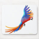 Search for scarlet macaw electronics Macaws
